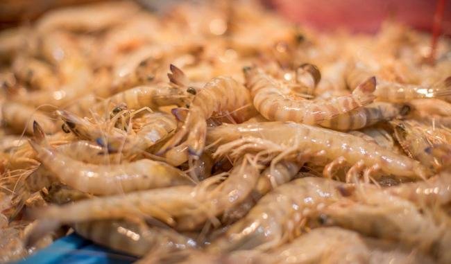 Gastronomía local langostino de Vinaròs